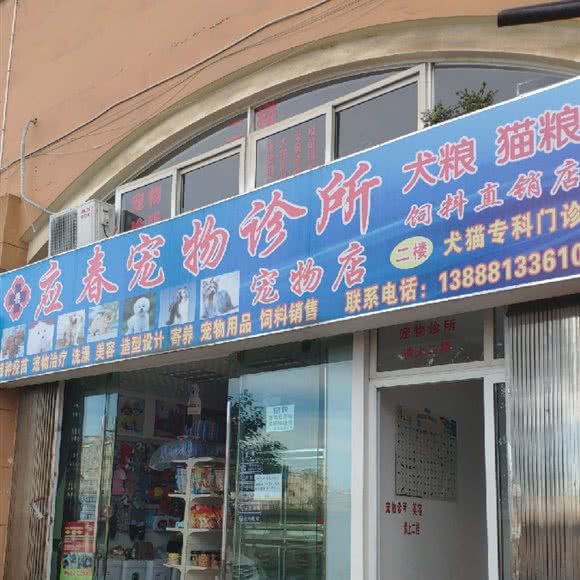 应春宠物诊所:昆明市官渡区官南大道附近