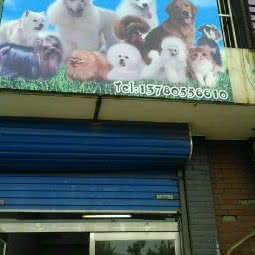 多多宠物美容院:唐山市路南区荷花坑附近
