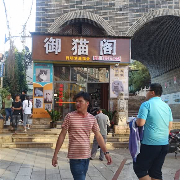 御猫阁:昆明市官渡区长水机场附近