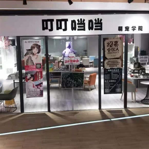 叮叮当当萌宠学院:昆明市官渡区大都摩天购物中心附近