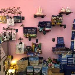 星辰宠物:昆明市西山区滇池附近