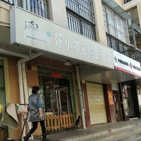 好小猫宠物生活馆:昆明市西山区滇池附近