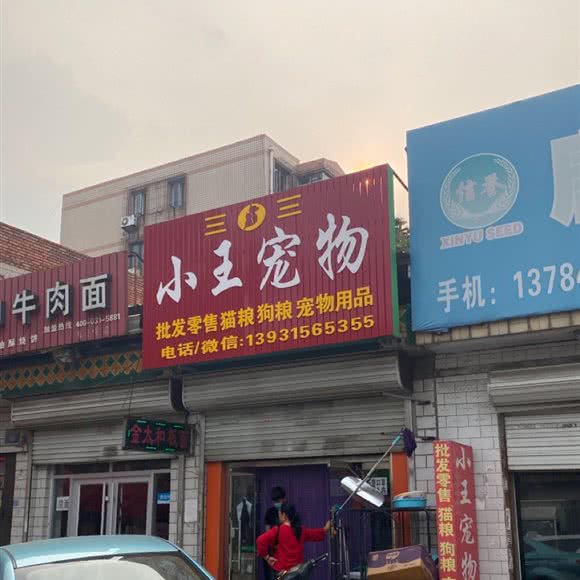 小王宠物:唐山市路南区荷花坑附近