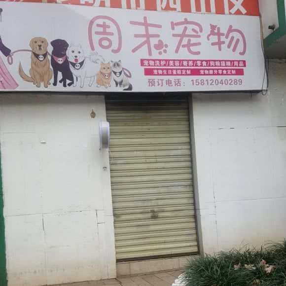 周未宠物:昆明市西山区船房附近