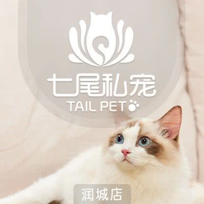 七尾私宠(润城店):昆明市西山区前卫西路附近