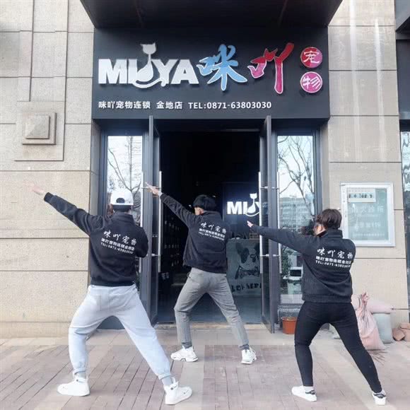 咪吖宠物:昆明市西山区前卫西路附近