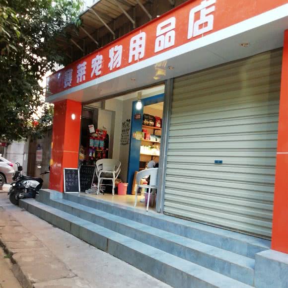 赛莱狗狗:昆明市西山区白马附近