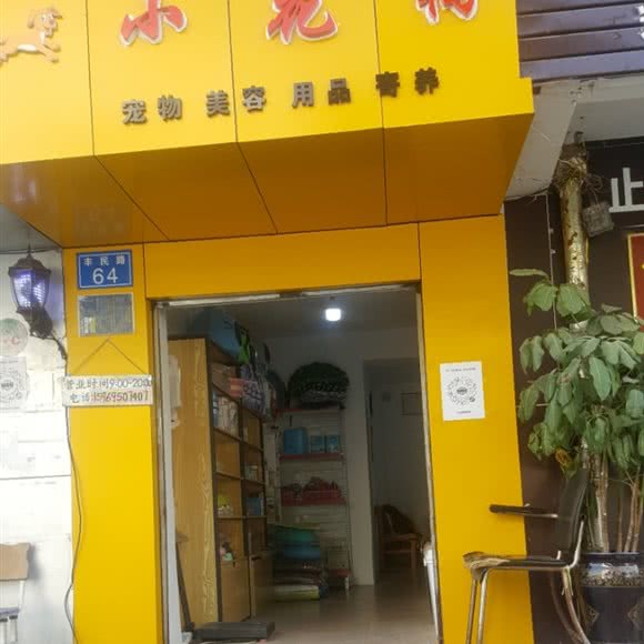 小花狗(丰宁小区店):昆明市西山区西山区政府附近