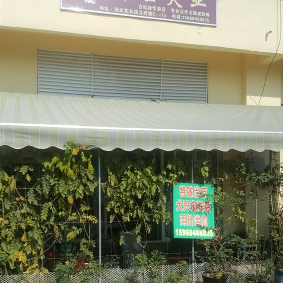 雅士犬业:昆明市西山区西山区政府附近