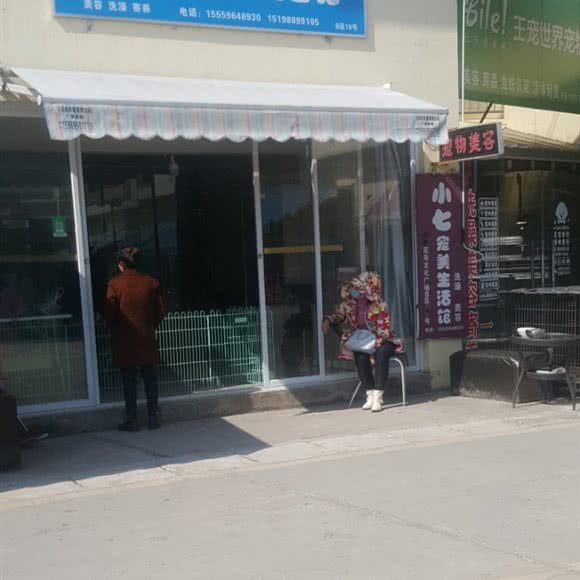 小七宠物美容馆:昆明市西山区西山区政府附近