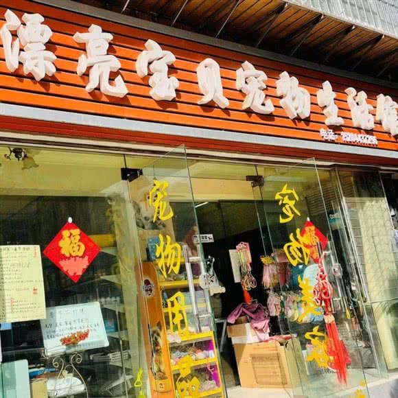 漂亮宝贝宠物生活馆(兴隆小区店):昆明市西山区西山区政府附近
