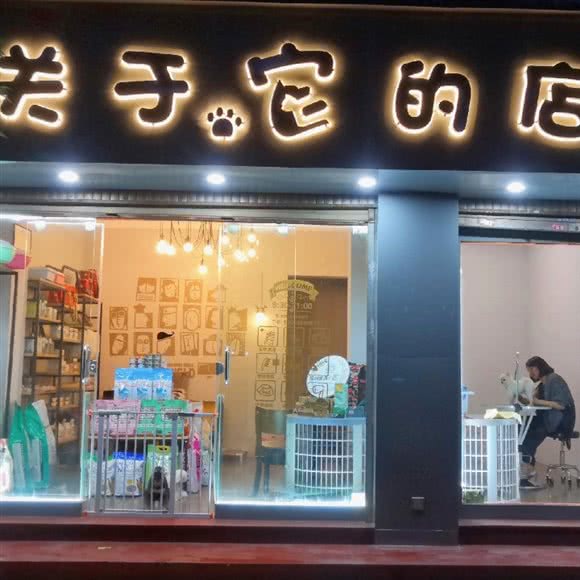关于它们的宠物店:昆明市西山区西山区政府附近