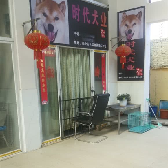 时代犬业:昆明市西山区西山区政府附近