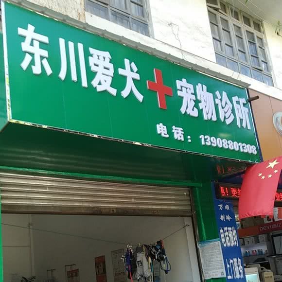 爱犬宠物诊所:昆明市东川区古铜路附近