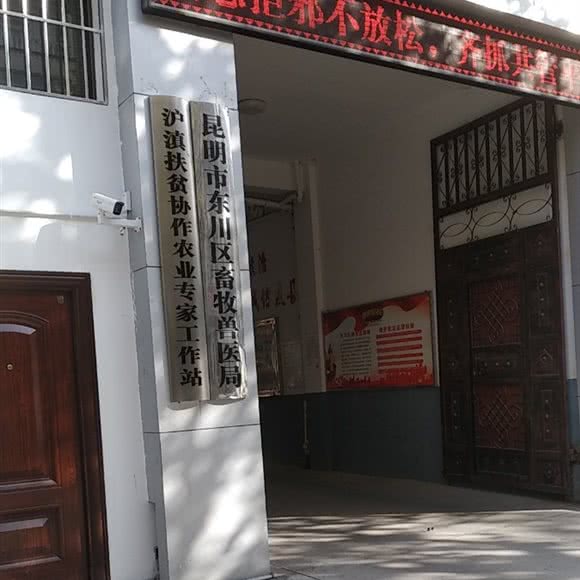 昆明市东川区畜牧兽医局:昆明市东川区白云街附近