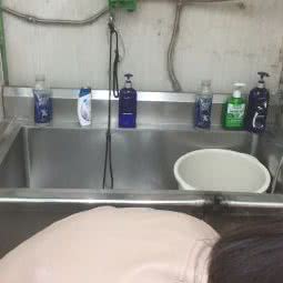 藏猫猫宠物美容工作室(总店):唐山市路北区八方附近