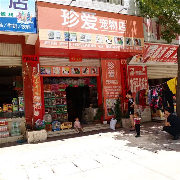 珍爱宠物店(盛元小区店):曲靖市麒麟区西苑小区附近