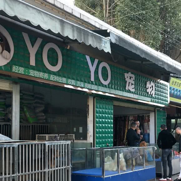YOYO宠物:曲靖市麒麟区紫云路附近