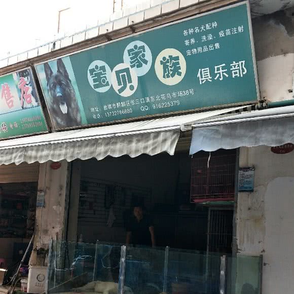 宝贝家族俱乐部:曲靖市麒麟区紫云路附近