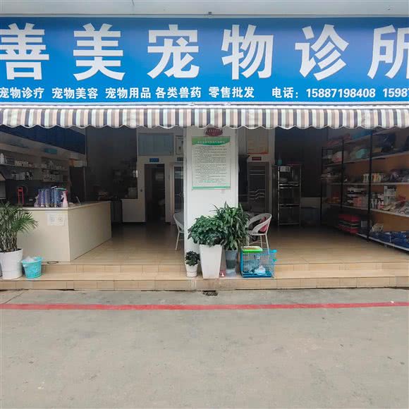 善美宠物诊所:曲靖市麒麟区紫云路附近