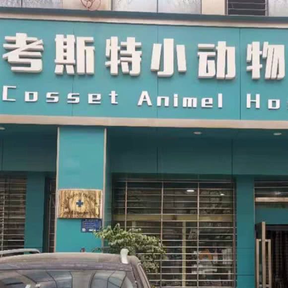 考斯特小动物医院:曲靖市麒麟区紫云路附近