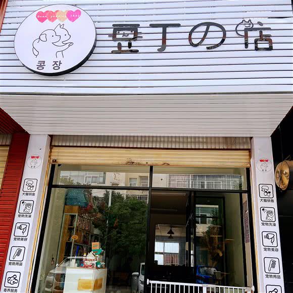 豆丁宠物店:玉溪市红塔区中轴国际附近