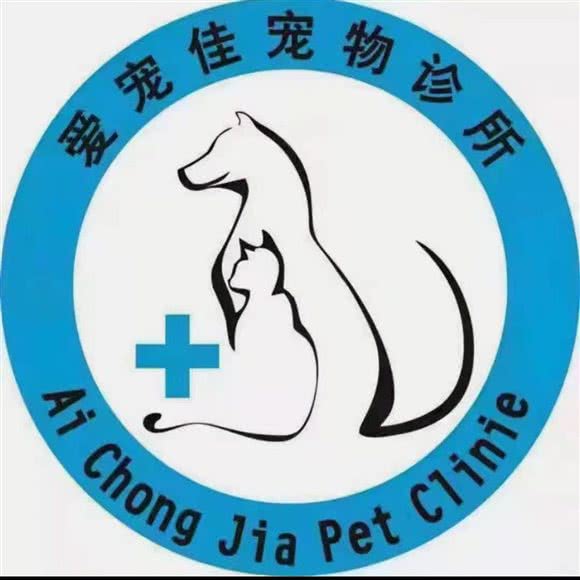 爱宠佳宠物诊所:玉溪市红塔区红塔文体中心附近