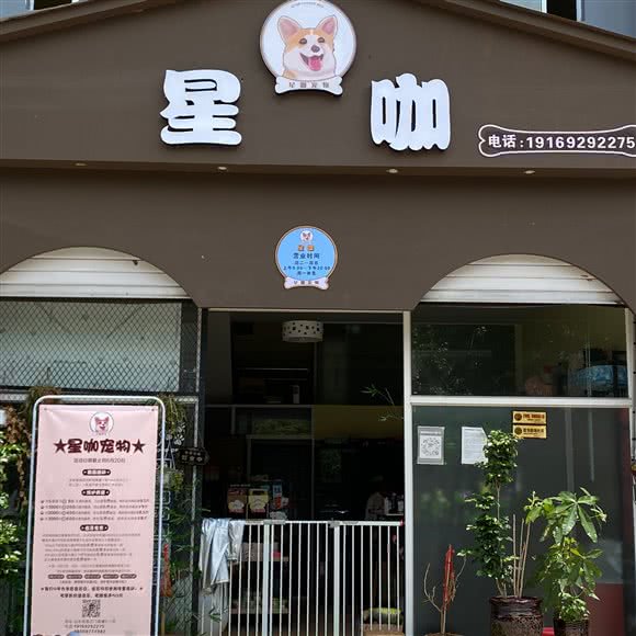 星咖宠物:玉溪市红塔区山水佳园附近