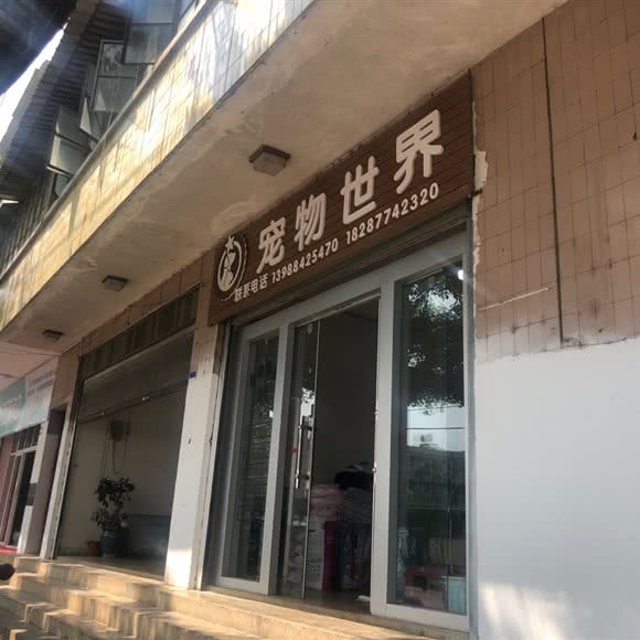 猫叔宠物店:玉溪市澄江市澄江市附近