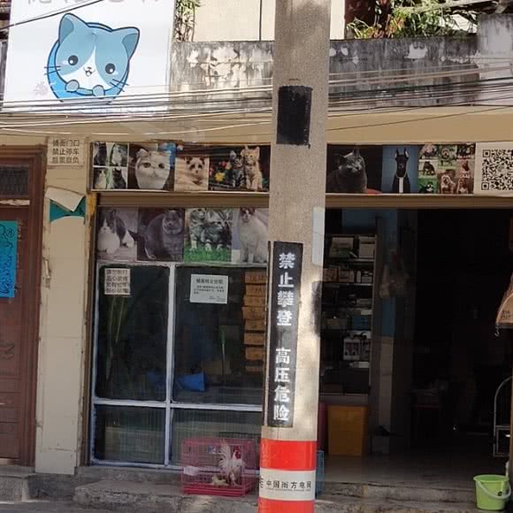 悦诺宠物:玉溪市澄江市澄江市附近