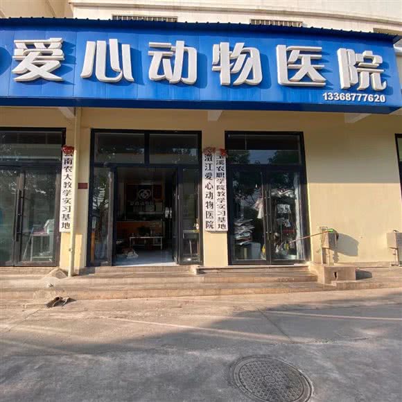澄江爱心动物医院:玉溪市澄江市澄江市附近