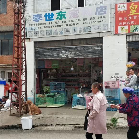 李世东宠物店:昭通市昭阳区清官亭附近