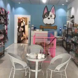 双子宠物店:昭通市昭阳区清官亭附近