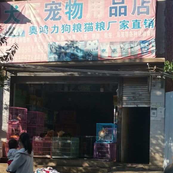 犬赵宠物用品店:昭通市昭阳区清官亭附近