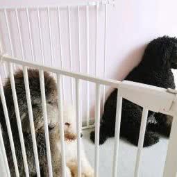 嗨萌优宠:丽江市古城区丽江古城附近