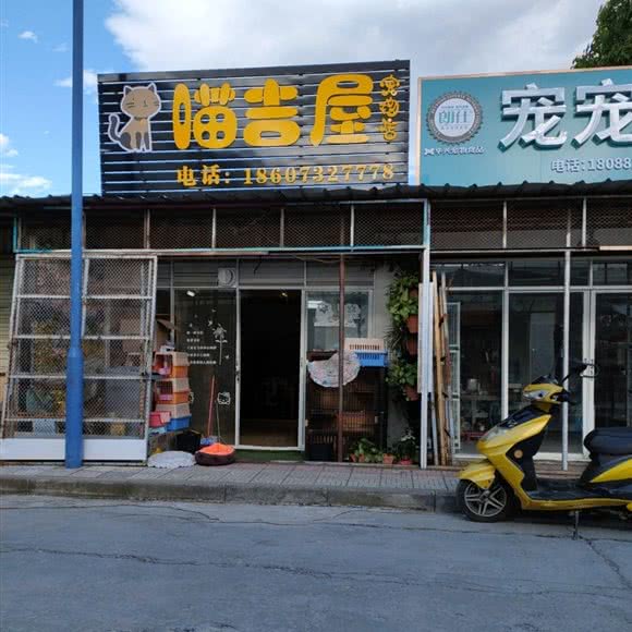 喵吉屋宠物店:丽江市古城区丽江古城附近