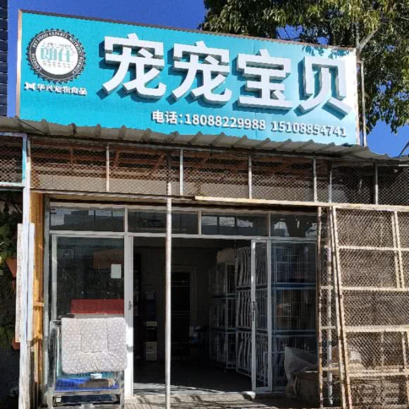 宠宠宝贝:丽江市古城区丽江古城附近