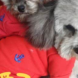 萌宠阁宠物店:丽江市古城区丽江古城附近