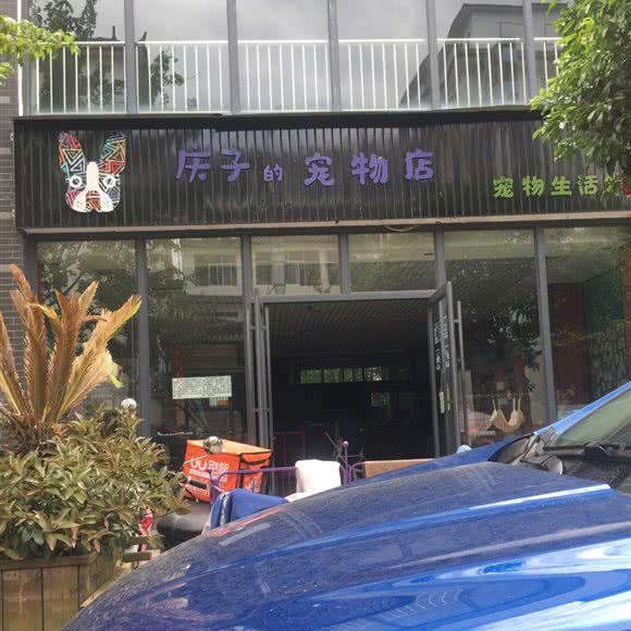 庆子的宠物店:丽江市古城区丽江古城附近