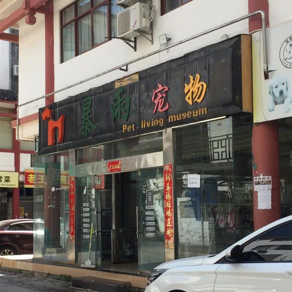 暴雨宠物:丽江市古城区丽江古城附近