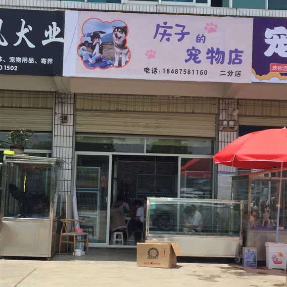 庆子的宠物店(二分店):丽江市古城区丽江古城附近