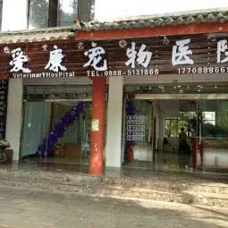 爱康宠物诊所:丽江市古城区丽江古城附近