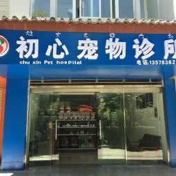 初心宠物诊所:丽江市古城区丽江古城附近