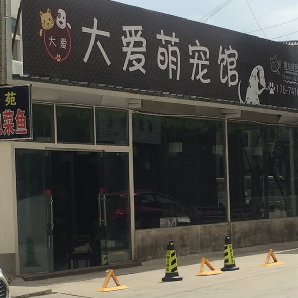 大爱萌宠馆:丽江市古城区束河古镇附近