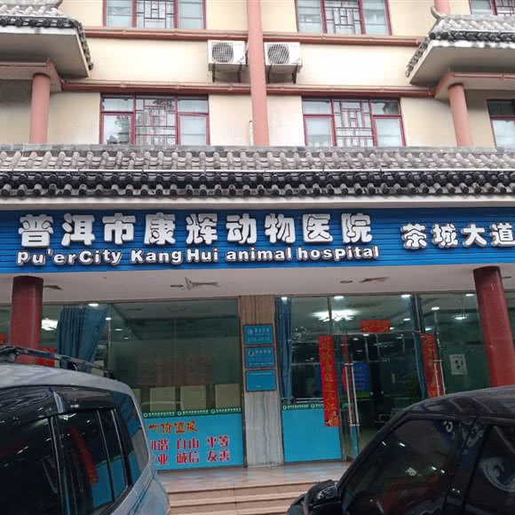 康辉动物医院:普洱市思茅区阳光新天地附近