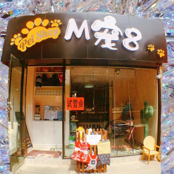 pet shop m宠8:北京城区朝阳区十里堡附近