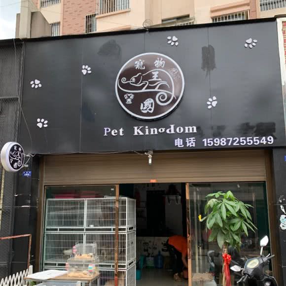 宠物王国:临沧市临翔区西门公园附近