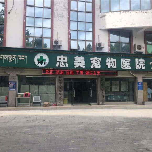 忠美宠物医院:拉萨市城关区赛马场附近