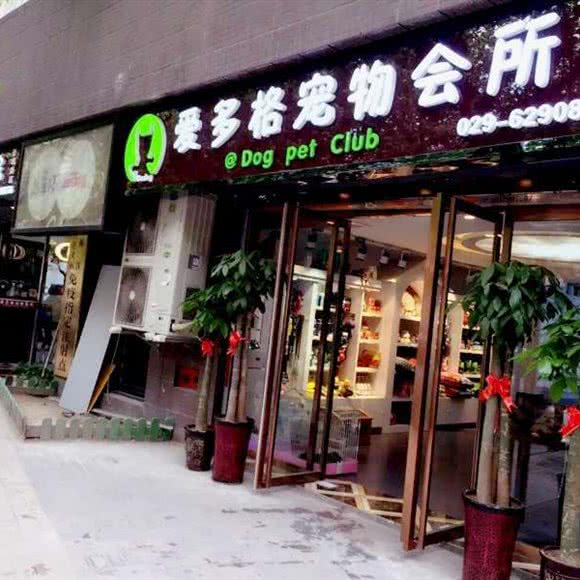 爱多格宠物医院(景观路总院):西安市新城区金花路沿线附近