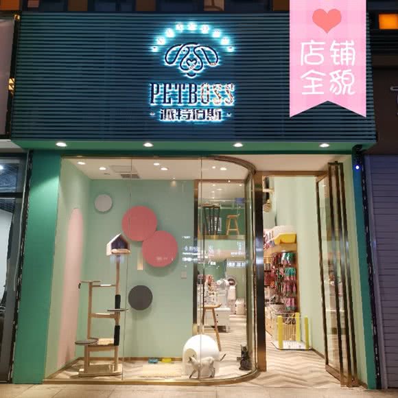 派特伯斯买猫洗澡寄养:西安市新城区民乐园附近